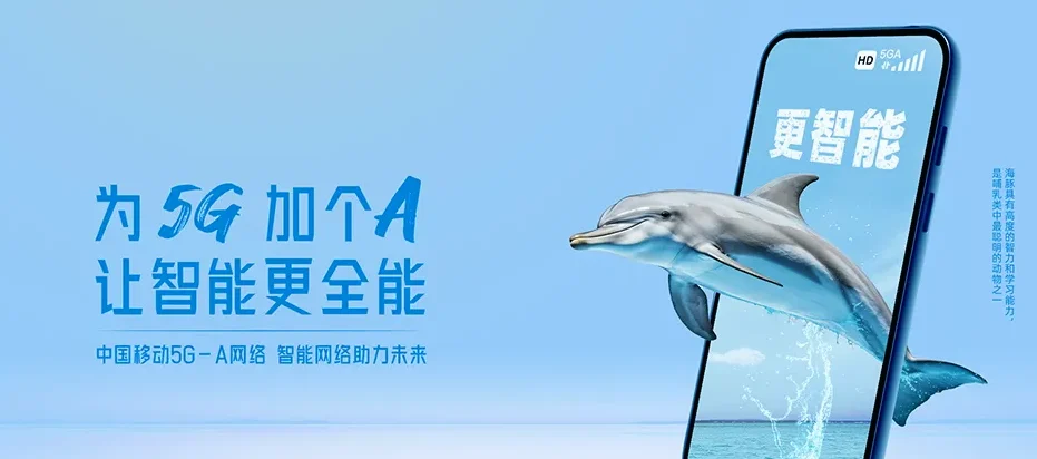 大新县大新县福隆乡 移动宽带